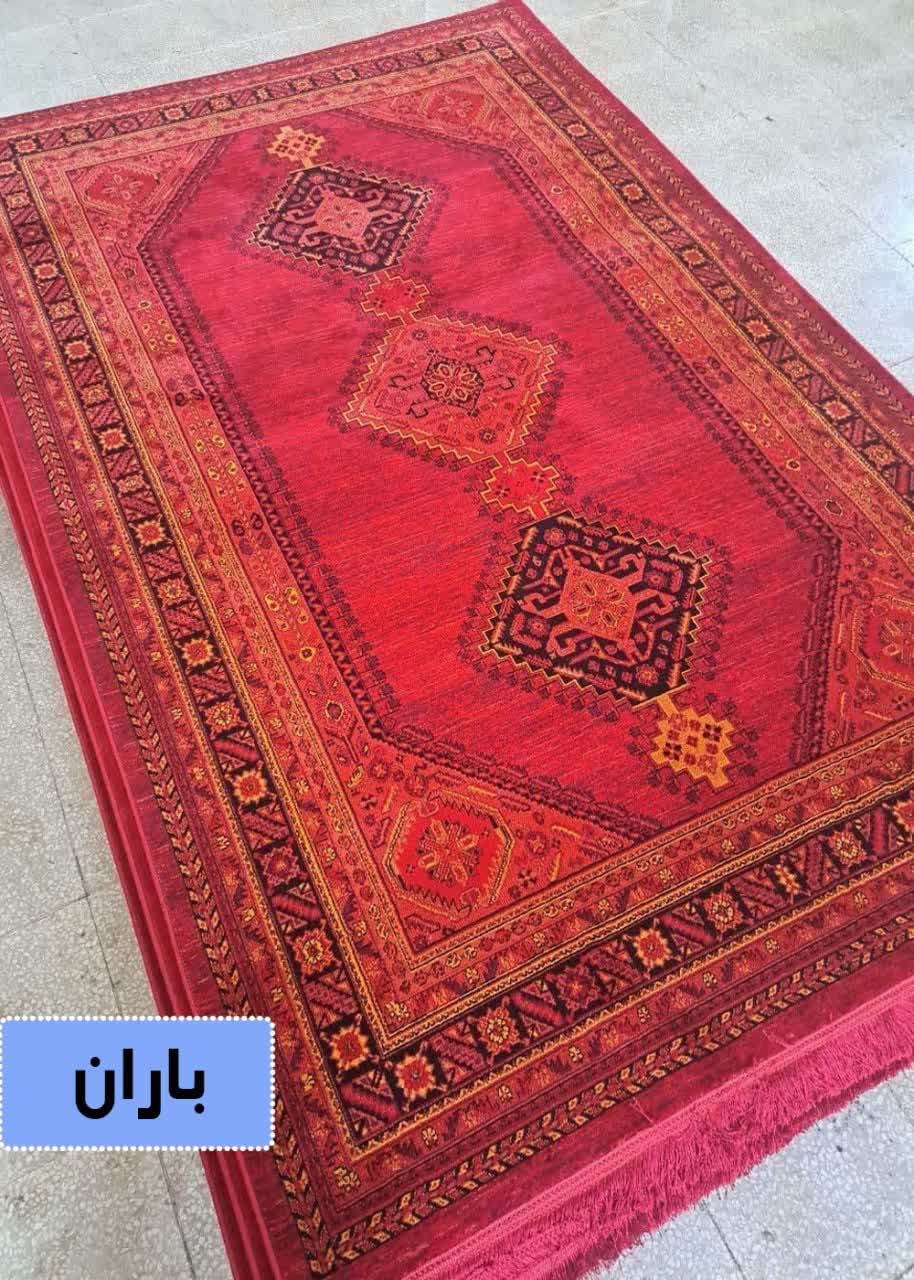 photo_2025-11-17_13-50-05