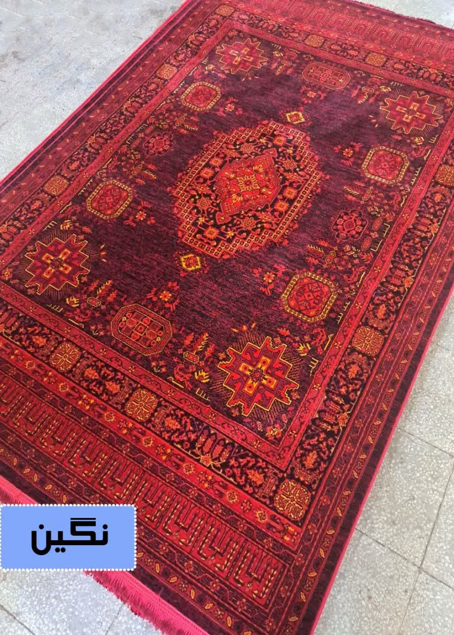 photo_2025-11-17_13-50-09