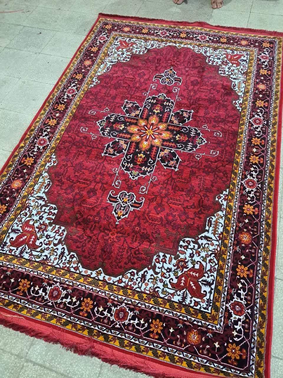 photo_2025-11-17_13-50-32